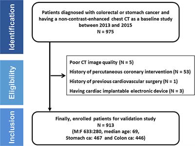 Validation of deep learning-based fully automated coronary artery calcium scoring using non-ECG-gated chest CT in patients with cancer